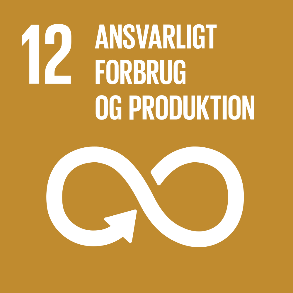 Bæredygtighed SDG 12